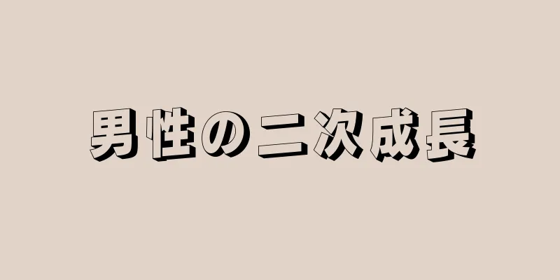 男性の二次成長