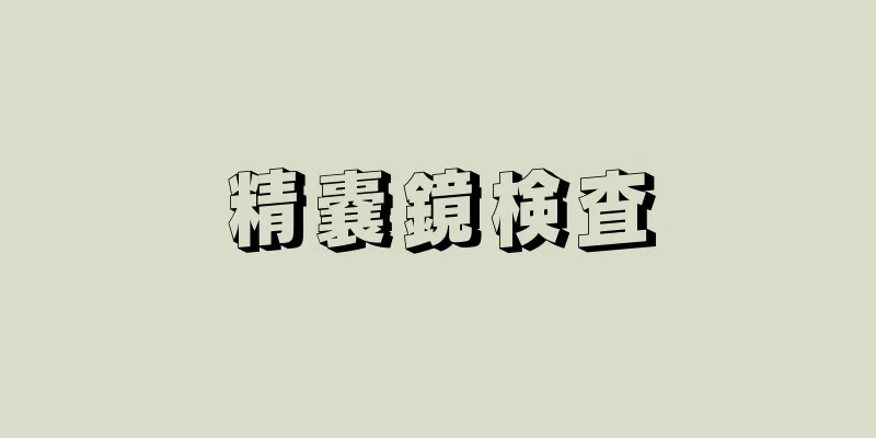 精嚢鏡検査