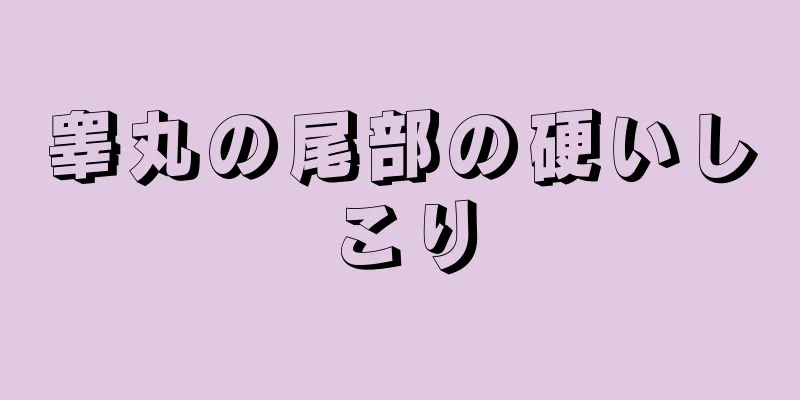 睾丸の尾部の硬いしこり