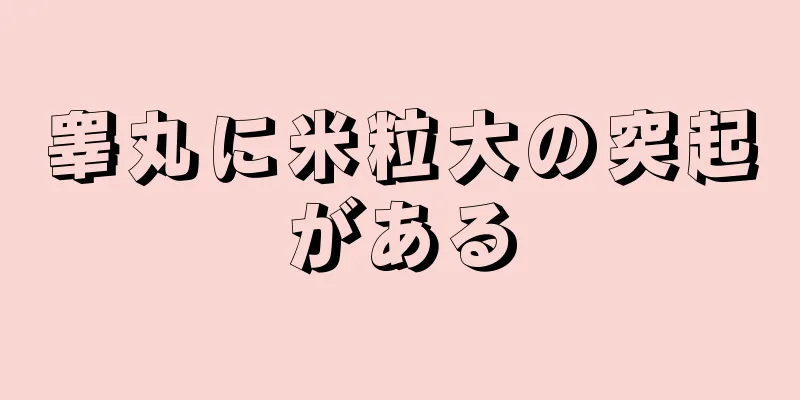 睾丸に米粒大の突起がある