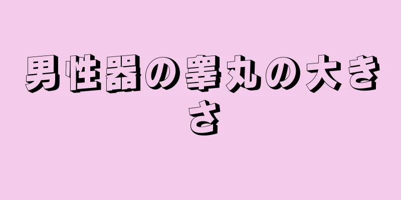 男性器の睾丸の大きさ