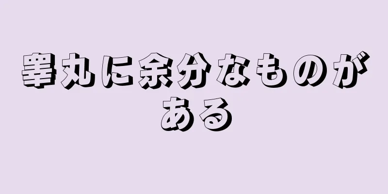 睾丸に余分なものがある