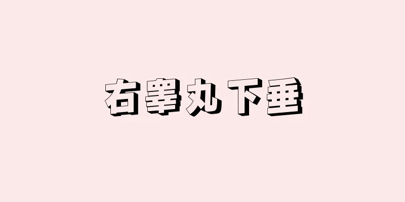 右睾丸下垂