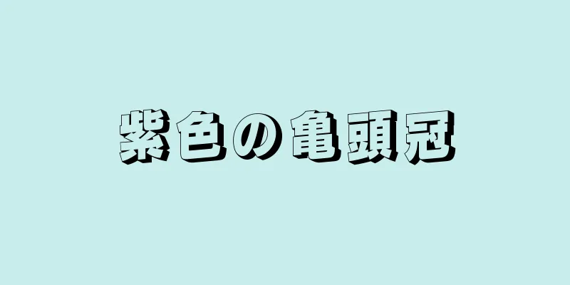 紫色の亀頭冠