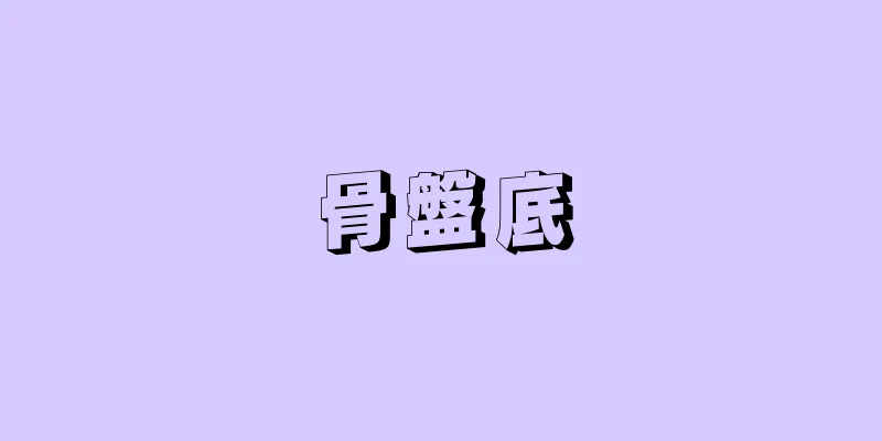 骨盤底