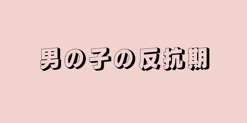 男の子の反抗期