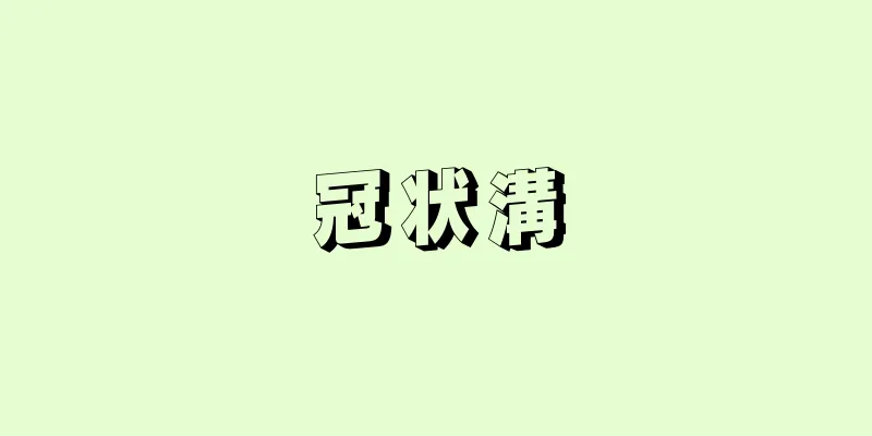 冠状溝