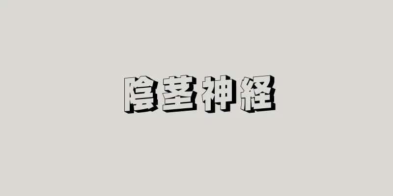 陰茎神経