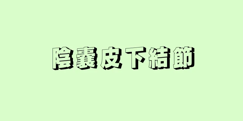 陰嚢皮下結節