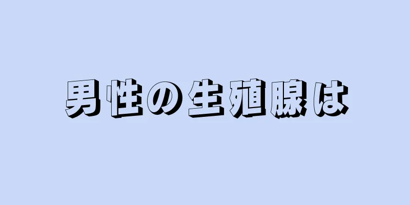 男性の生殖腺は