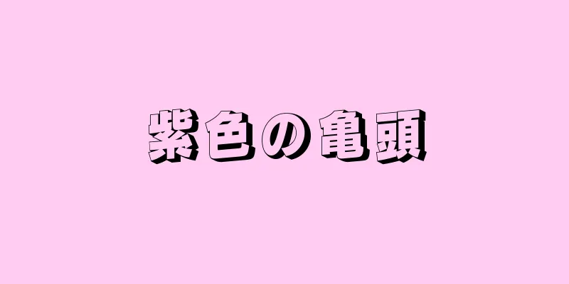 紫色の亀頭