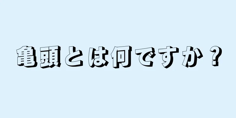 亀頭とは何ですか？