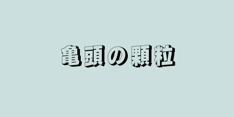 亀頭の顆粒