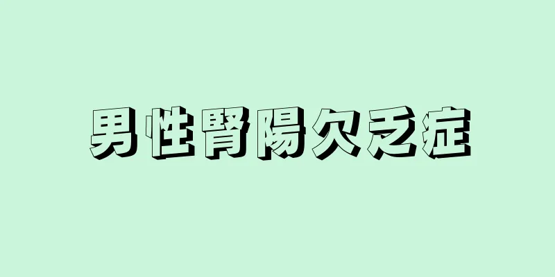 男性腎陽欠乏症