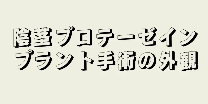 陰茎プロテーゼインプラント手術の外観