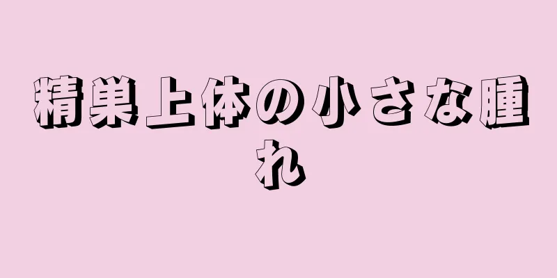 精巣上体の小さな腫れ
