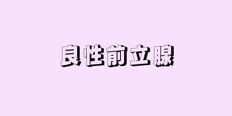 良性前立腺