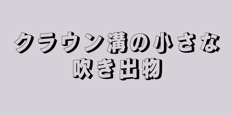 クラウン溝の小さな吹き出物