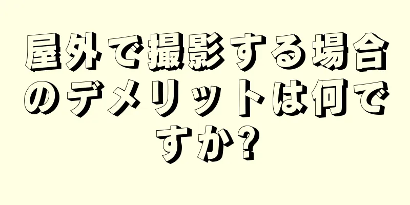 屋外で撮影する場合のデメリットは何ですか?