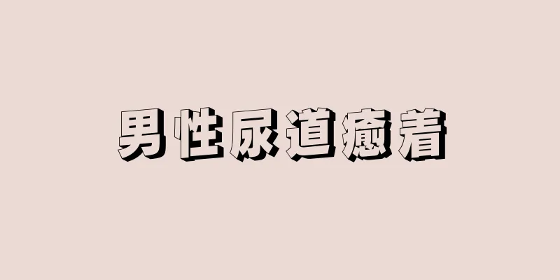 男性尿道癒着