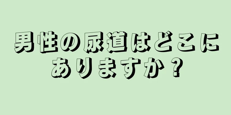男性の尿道はどこにありますか？
