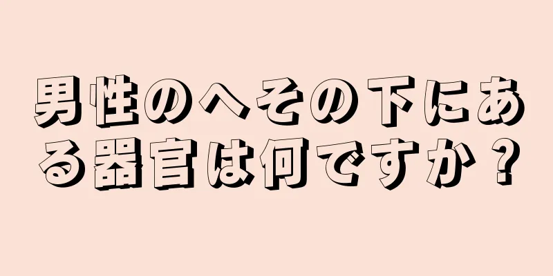 男性のへその下にある器官は何ですか？