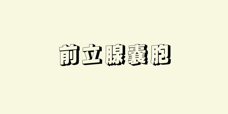 前立腺嚢胞