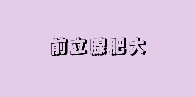 前立腺肥大