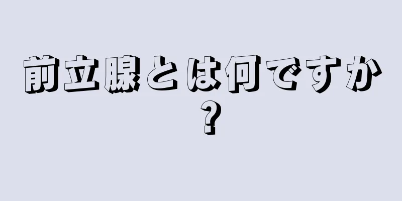 前立腺とは何ですか？