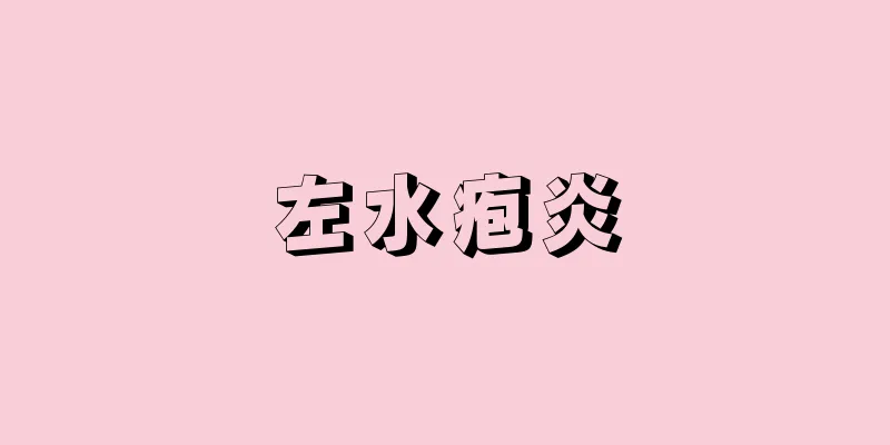 左水疱炎
