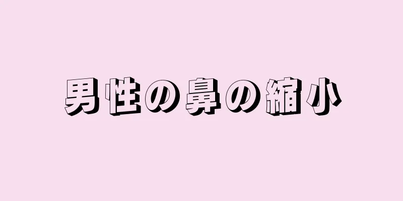 男性の鼻の縮小