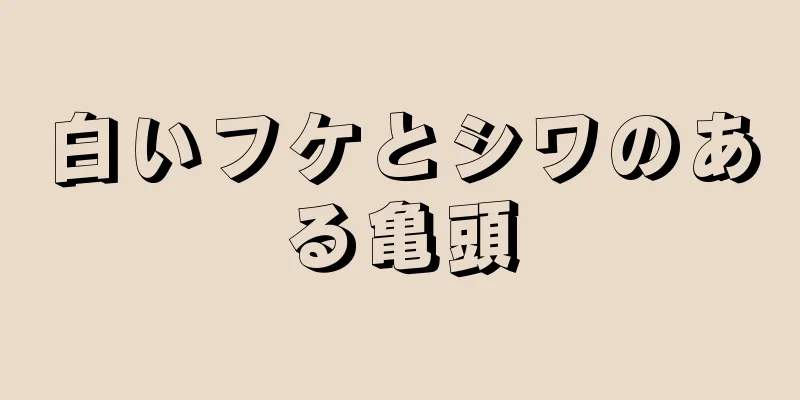 白いフケとシワのある亀頭