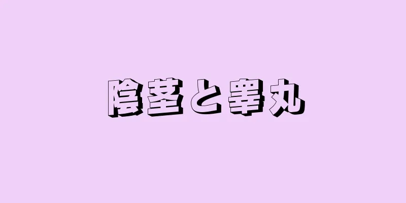 陰茎と睾丸