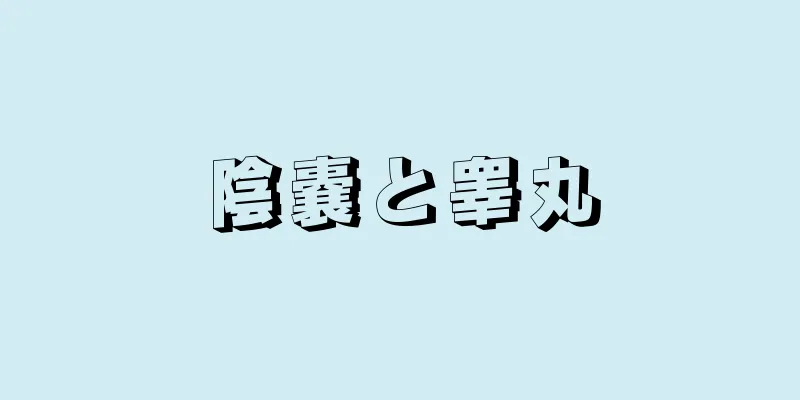 陰嚢と睾丸