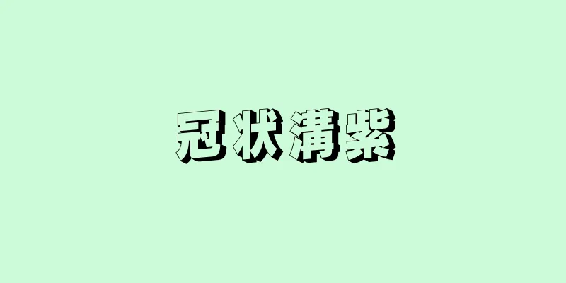 冠状溝紫