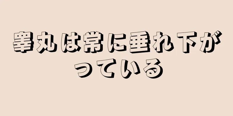 睾丸は常に垂れ下がっている