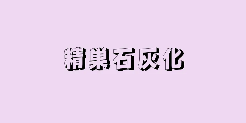 精巣石灰化