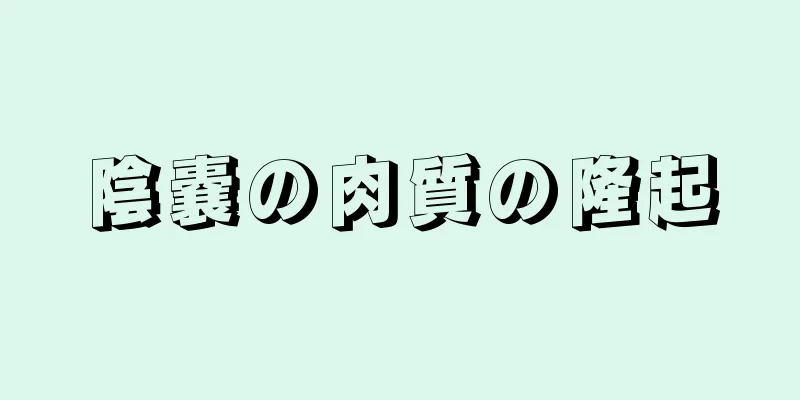 陰嚢の肉質の隆起