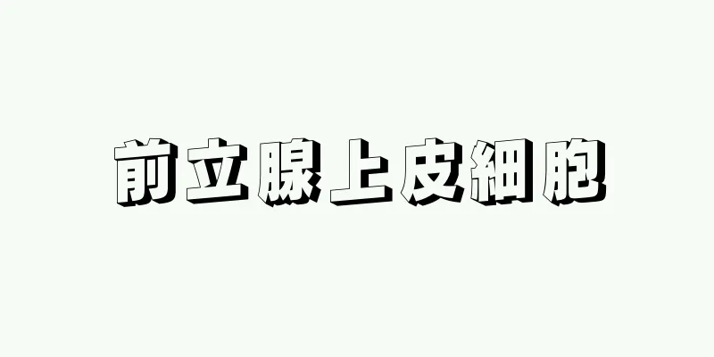前立腺上皮細胞