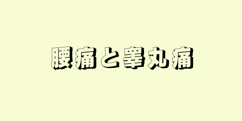 腰痛と睾丸痛