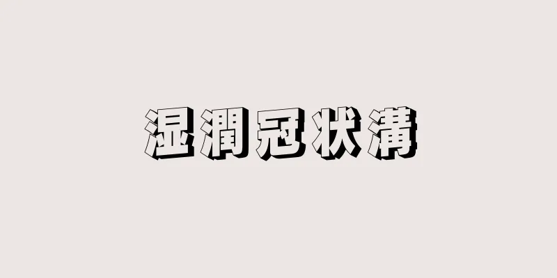 湿潤冠状溝