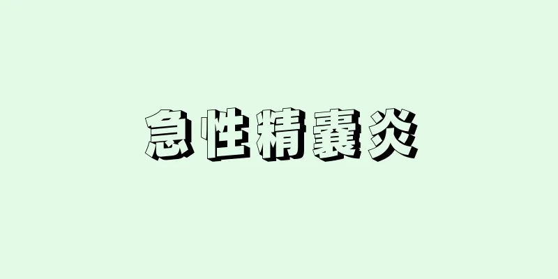 急性精嚢炎