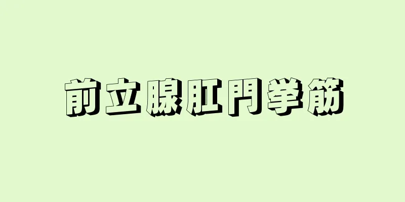 前立腺肛門挙筋