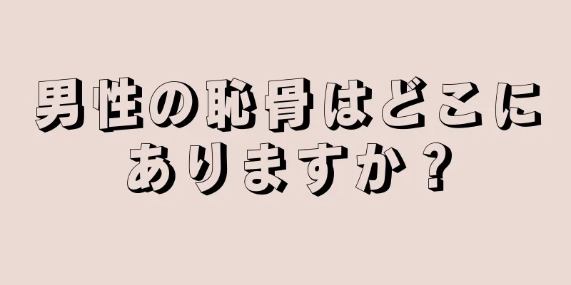 男性の恥骨はどこにありますか？