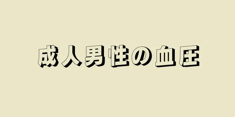 成人男性の血圧