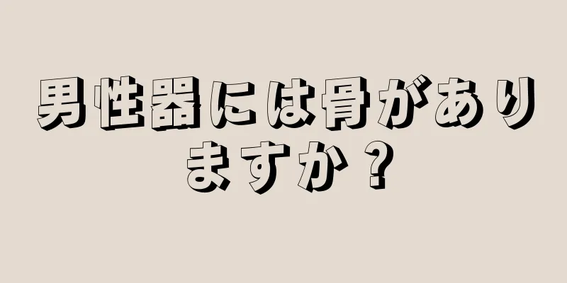 男性器には骨がありますか？