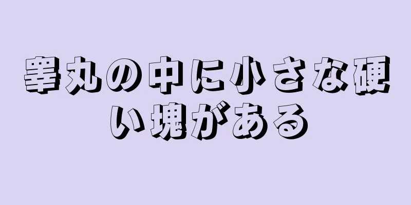 睾丸の中に小さな硬い塊がある