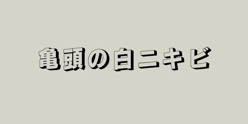 亀頭の白ニキビ