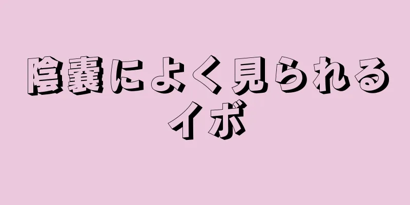 陰嚢によく見られるイボ