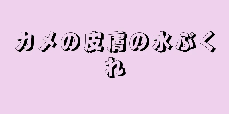 カメの皮膚の水ぶくれ